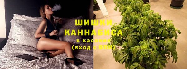 MESCALINE Аркадак